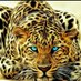 Trasisia Maina (@mainatrasisia) Twitter profile photo Trasisia Maina (@mainatrasisia) Twitter profile photo