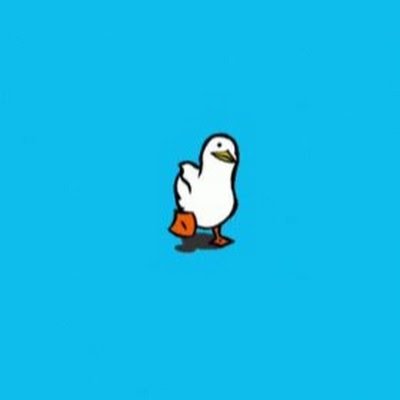 ILIKETURTLES432's profile picture. Hi