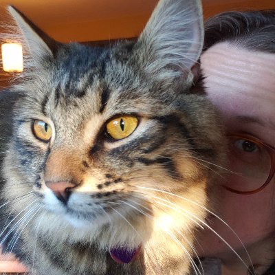 AndreaBugslag's profile picture. Get wisdom.