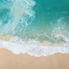 p18519154's profile picture. 