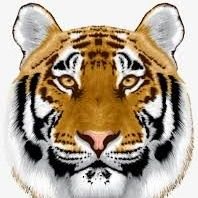 JesynjeyJey's profile picture. 