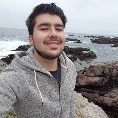 Él/He/Him, 30, Padre de una princesa, Borgoñino, Ingeniero Civil Industrial, Bilingüe, Investigador Científico, Emprendedor, del Colo por siempre.