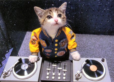 get at me for booking!  i get ur parti goin and it dont stop!
