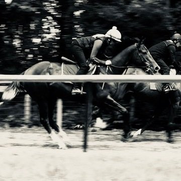 Specialists in bloodstock and equine management. Eimear Donnelly
+44 7884 888833