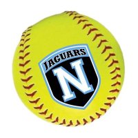 Northridge Softball (@nhsjagssoftball) 's Twitter Profile