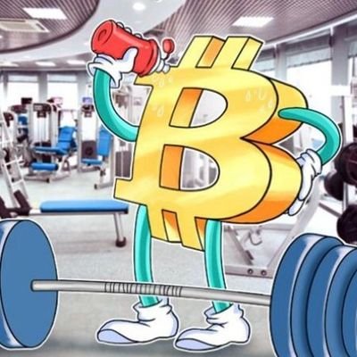 Crypt0Fitness's profile picture. #Fitness
#Bodybuilding
#Crypto
#Bitcoin