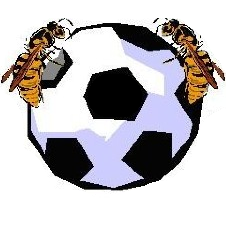 WordsleyWaspsFC's profile picture. The Twitter account for Wordsley Wasps JFC, in the Stourbridge and District Youth League, West Midlands, UK.
