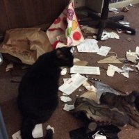 jonathan mills (@jonatha72800555) 's Twitter Profile