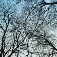 Afkaheen Alam (@afkaheen) 's Twitter Profile