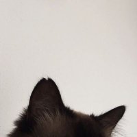 24/7 (@phxpx08) 's Twitter Profile