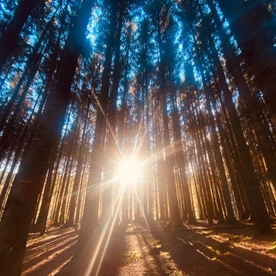 KaylLinds's profile picture. Community care & public law caseworker