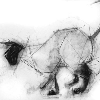 Windoge95Cat's profile picture. 