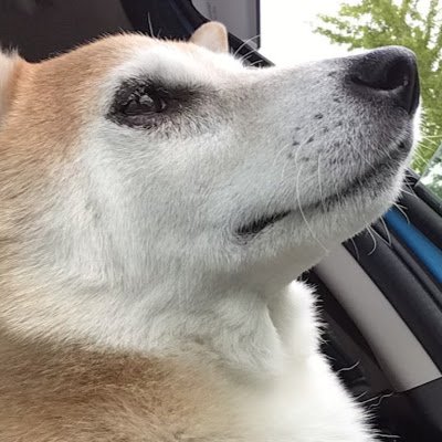 思ったことをとつとつと　感想を言っているだけです　特に議論はするつもりは無い