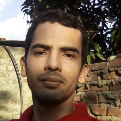 pedrota09187489's profile picture. 