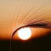 Pictures (@pic_oso) Twitter profile photo Pictures (@pic_oso) Twitter profile photo