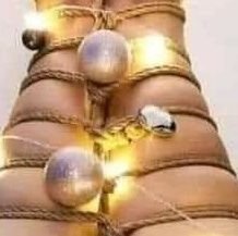 upforitall88's profile picture. Paradox extraordinare