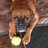 JtFlint19's profile image