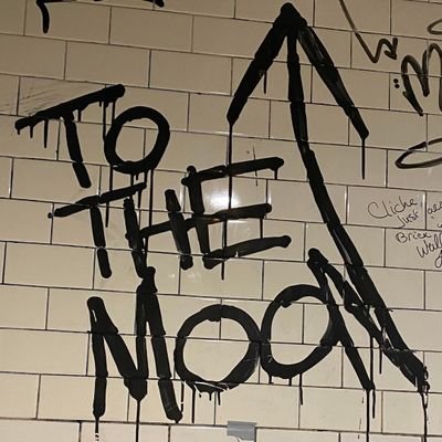 roc_Chile's profile picture. 