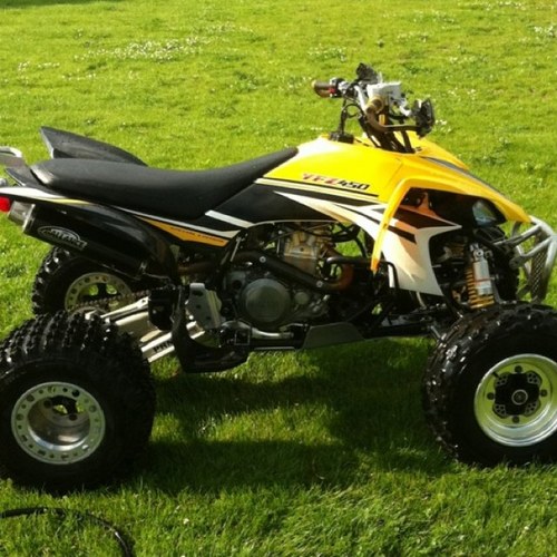 Bbrut08's profile picture. I could get a good look at a T-bone by sticking my head up a bull's ass, but I'd rather take the butchers word for it