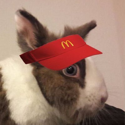DeFiRabbit's profile picture. BlockChain Dev. Alex Becker’s Crypto Rabbit On Quest for 💎’s. Love Magic Internet Money - Rabbit Tweets are Not Financial Advice 🥞🐰