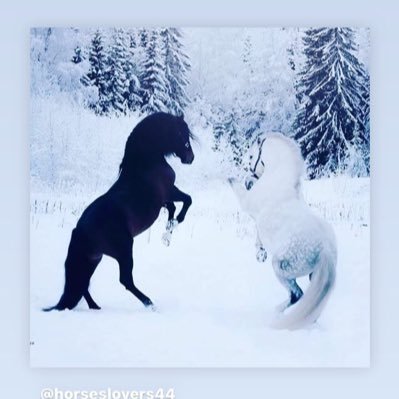 ZekariyeO's profile picture. Bilim Ekonomi ve Finans dünya hayatı ve olayları