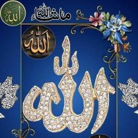 👈💖نواب شاکر💖PMLN👉(@0MNS29) 's Twitter Profile Photo