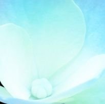 mochimochi7110's profile picture. 日常と創作関係を呟きながら生きてる20↑ / 浮上率が不定期過ぎて蒸発しますごめんなさい…