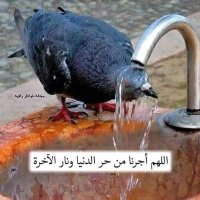 Herr Said.🤺 (@mwarabusaid1) 's Twitter Profile