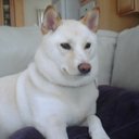 Kelly Cairo - @KellyKatieVal - Twitter