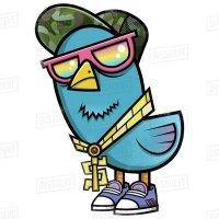 Milyoner Kuş (@milyoneer) Twitter profile photo