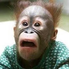 Augusti10219276's profile picture. 