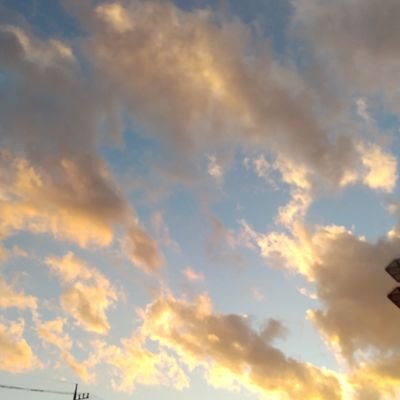 めでか。さんのプロフィール画像
