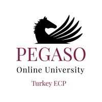 Pegaso Türkiye(@PegasoTurkiye) 's Twitter Profile Photo