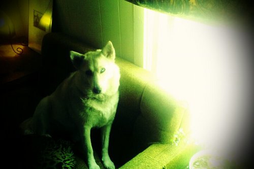 BBQBullCity's profile picture. Radical//Dude
            No
My opinions may not be yours
DMs open for $$$
Kneels on Nazi Necks