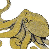 The Gold Octopus(@TheGoldOctopus) 's Twitter Profile Photo