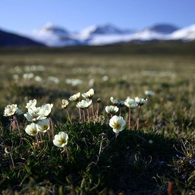 Post_Scriptum_X's profile picture. +20