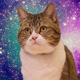 Aso_ukoV's profile picture. アダルトビデオ【PR】気に入ったおすすめAV動画を紹介していきます！！！フォローやRTお願いします！！