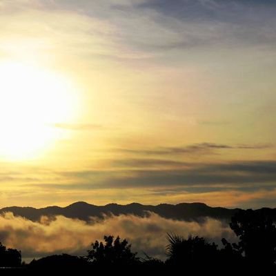 Avalonit3's profile picture. intern 3d animator | character design
TH | EN