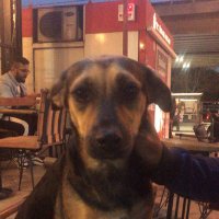 edo (@erdiincsavas) Twitter profile photo