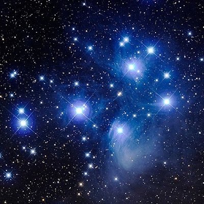 martin_brada's profile picture. 