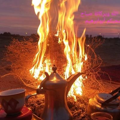 RgaaAllah's profile picture. 