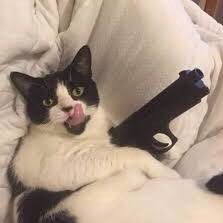 REEN05890634's profile picture. 