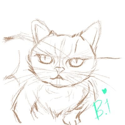 B Oneさんのプロフィール画像