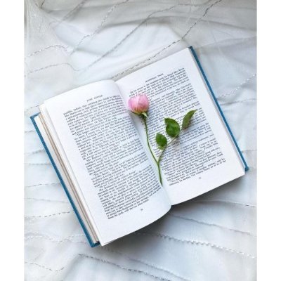UK based online bookseller of antiquarian and vintage books
and Library team leader @unilincoln
All views (and books) my own!
https://t.co/1zmr7JBsIo