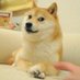 もりった(あんくん) (@moriiiii112111) Twitter profile photo もりった(あんくん) (@moriiiii112111) Twitter profile photo
