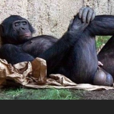 dedalus_steven's profile picture. 🙏✨💫