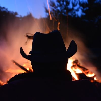 Ichbinsonstewo's profile picture. 