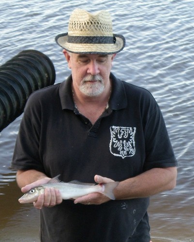 Rodster65's profile picture. 