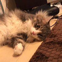 ssk (@ssk_0228) 's Twitter Profile