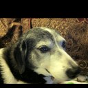 Maureen Austin - @MarnieAustin - Twitter